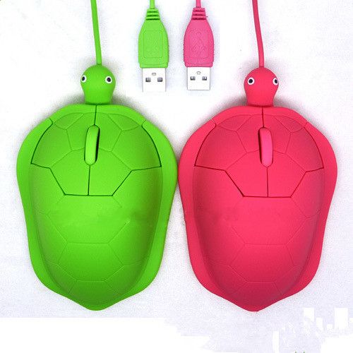 Various Blank Top View