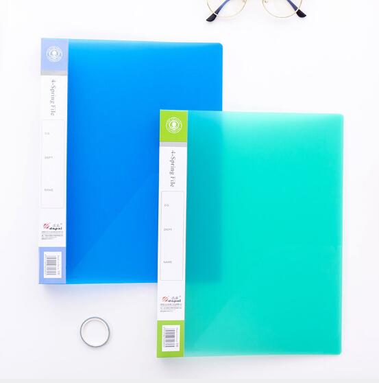 Frosted Ring Binder