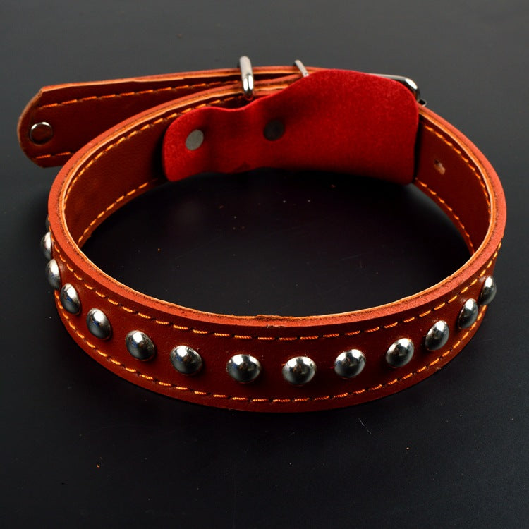 Dog Collar Set Made Of PU