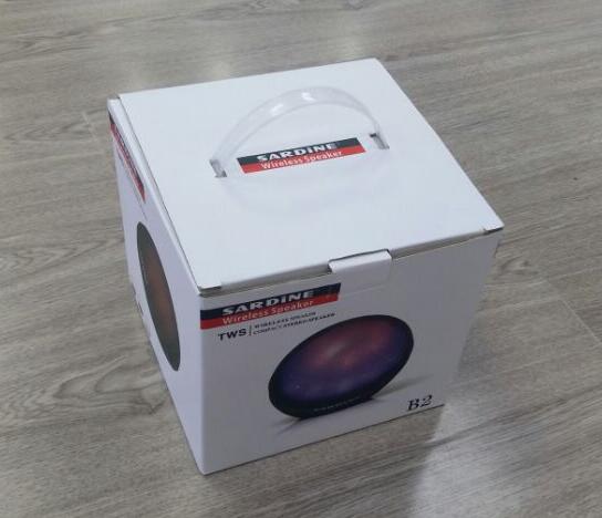 True Stereo LED Wireless Speaker