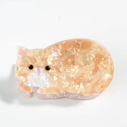 Ginger Cat