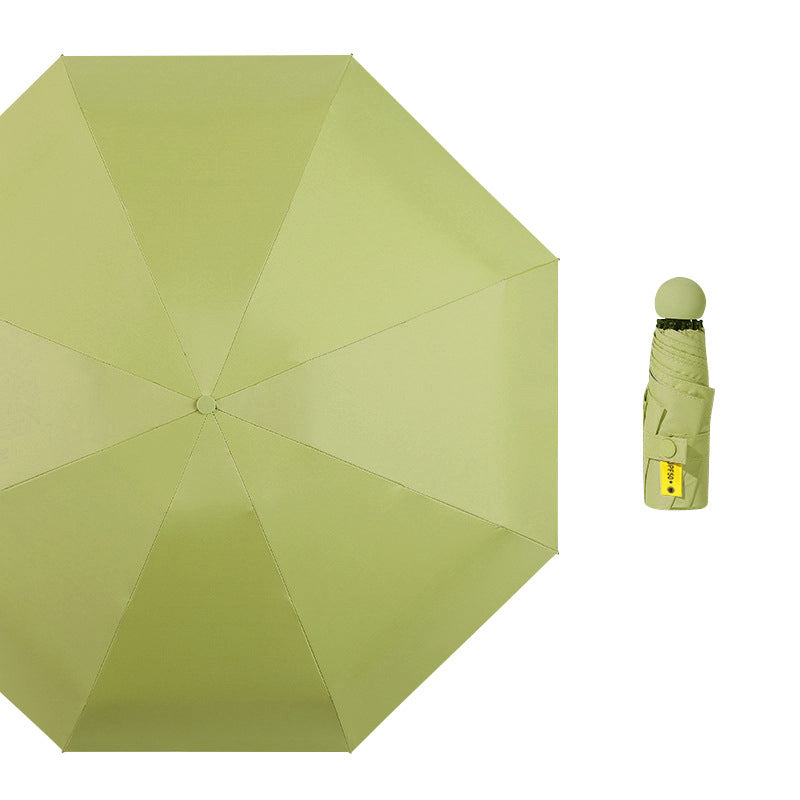 Green Blank Top View