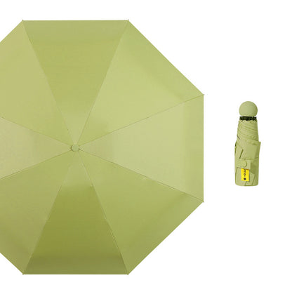 Green Blank Top View