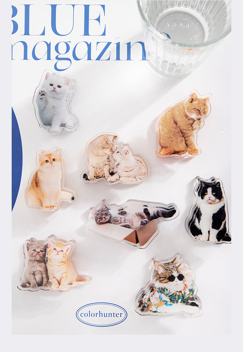Cute Cat Shaped Acrylic Album Memo Clip Bag Binder Sealing Clip Food Bag Clamp-Two Sides Imprint