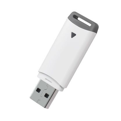 32G USB 2.0 Flash Drive USB Stick