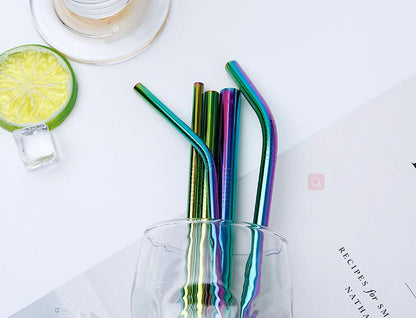 9.5''L Stainless Steel Straws