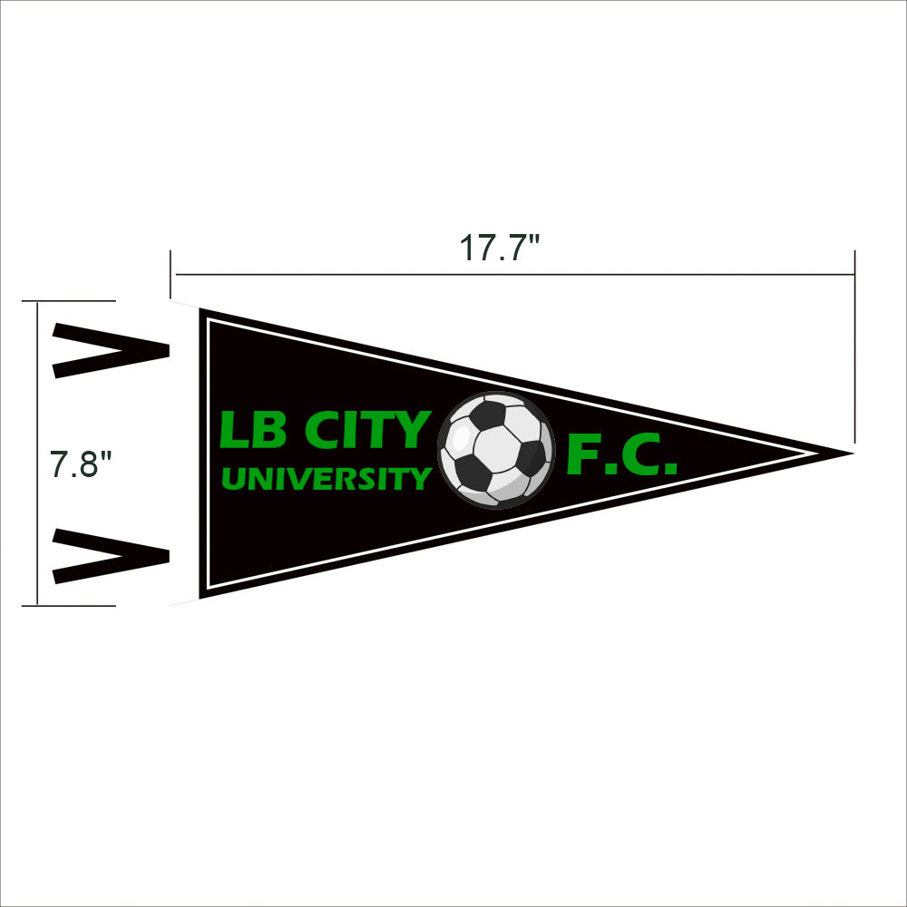 Custom Full Color College Felt Pennant Flag