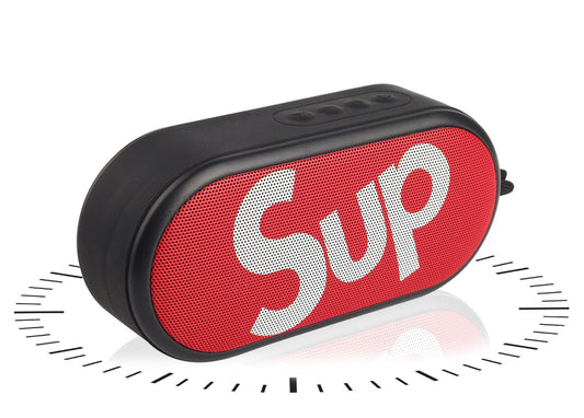 1200mAh IPX7 Outdoor Waterproof Speaker