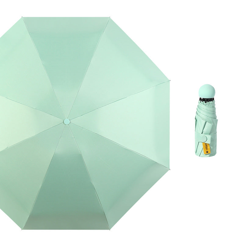 Teal Green Blank Top View