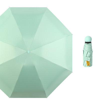 Teal Green Blank Top View
