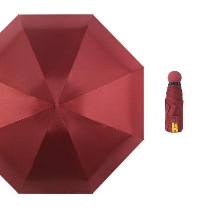 Red Blank Top View