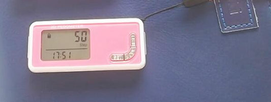 3D Waterproof Pedometer