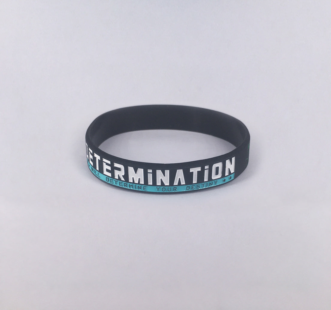 Color Filled 2 Colors Silicone Wristband