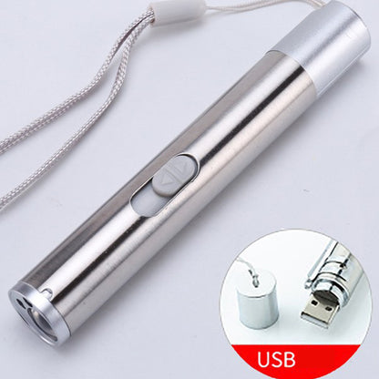 Rechargeable UV Detector Mini LED Flashlight Keychain