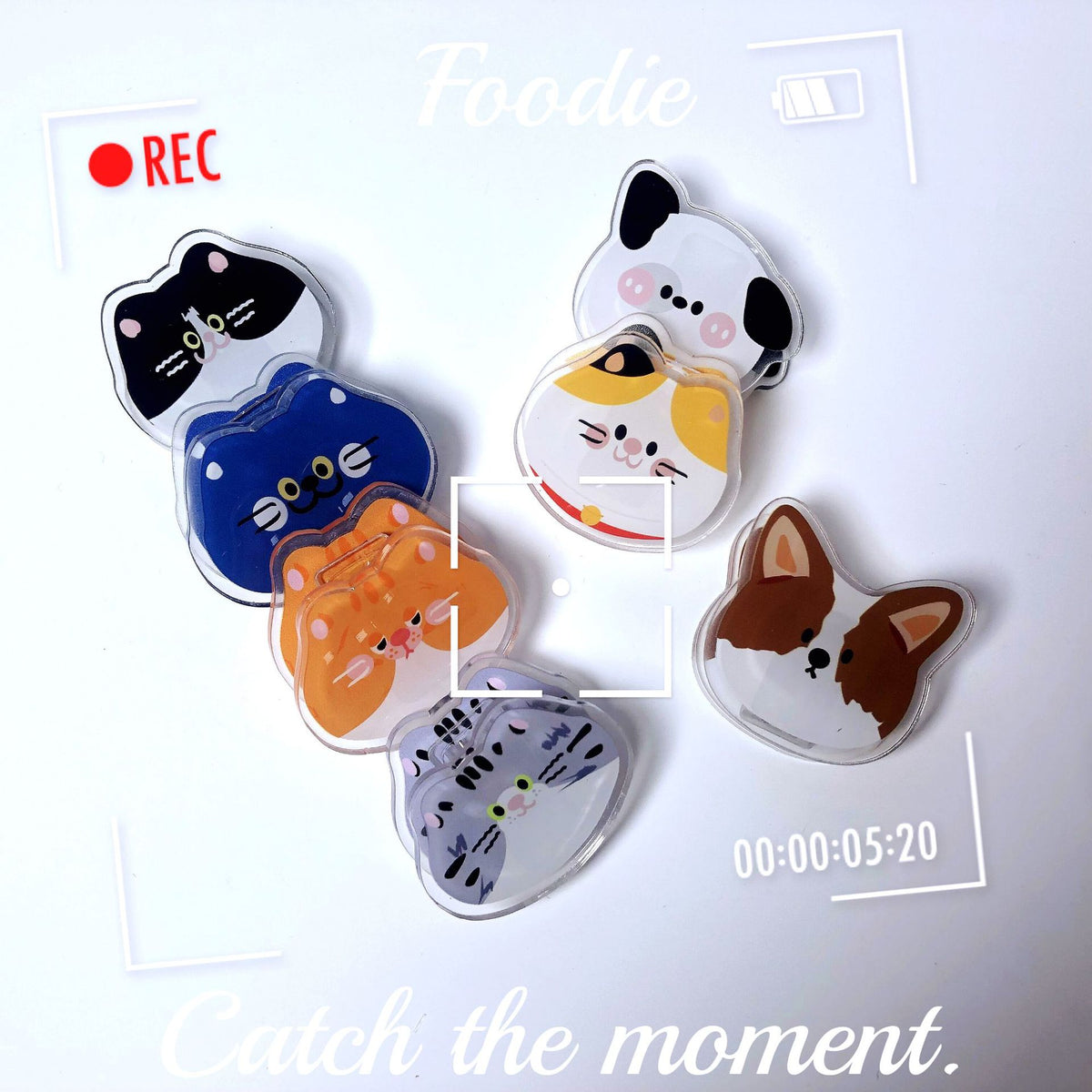 Cute Cat Shaped Acrylic Album Memo Clip Bag Binder Sealing Clip Food Bag Clamp-Two Sides Imprint