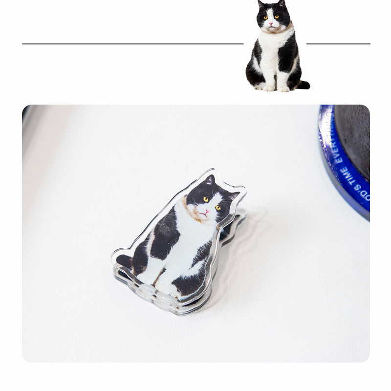 Cute Cat Shaped Acrylic Album Memo Clip Bag Binder Sealing Clip Food Bag Clamp-Two Sides Imprint