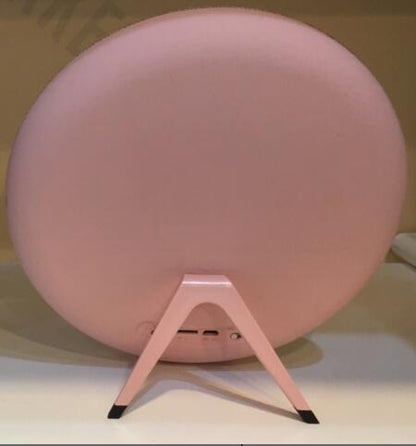 True Stereo Wireless Speaker