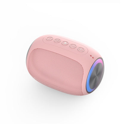 Fashion Portable Wireless Speaker