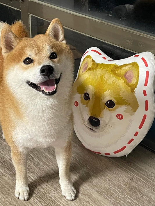 15'' to 20" Custom Pet Pillow with Photo Personalized Photo Shaped Dog Cat Face Pillow