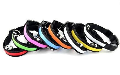 Pet Collar