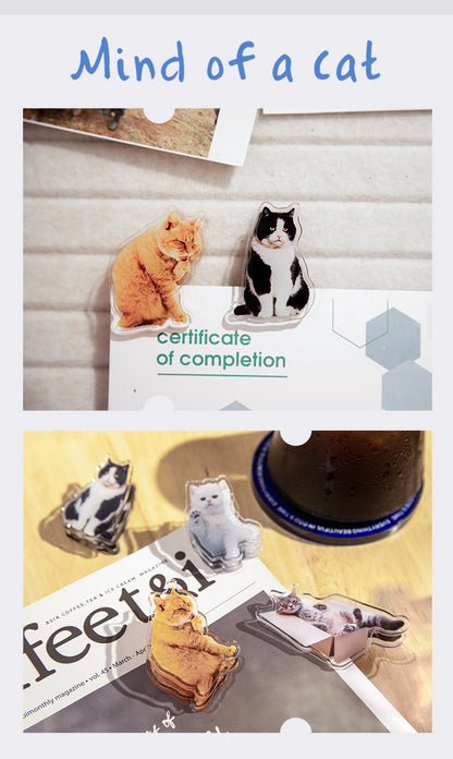 Cute Cat Shaped Acrylic Album Memo Clip Bag Binder Sealing Clip Food Bag Clamp-Two Sides Imprint