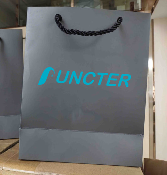 Matte Laminated Paper Bag (8 x 10 x 4)