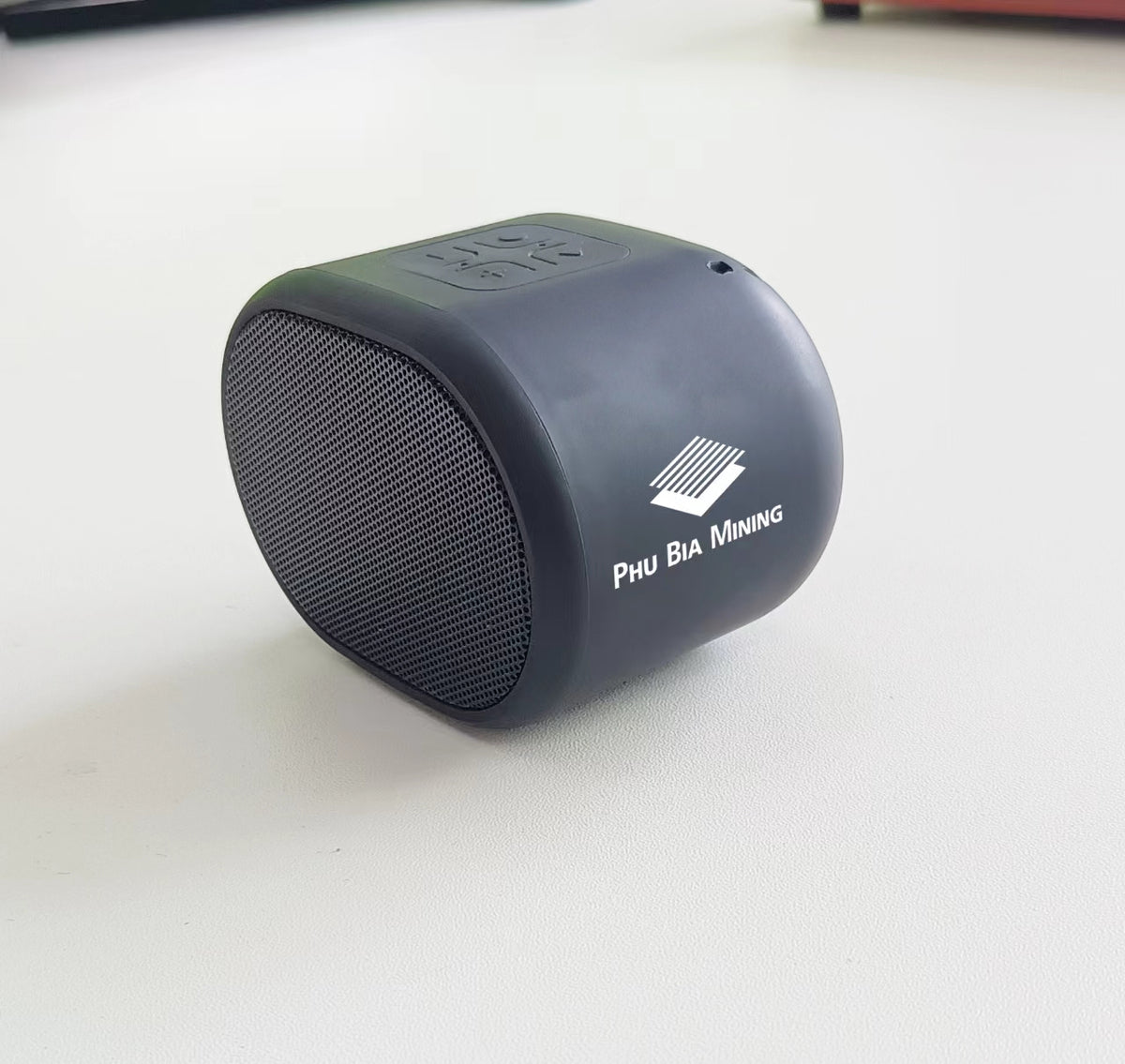 1200 mAh Portable Mini Speaker