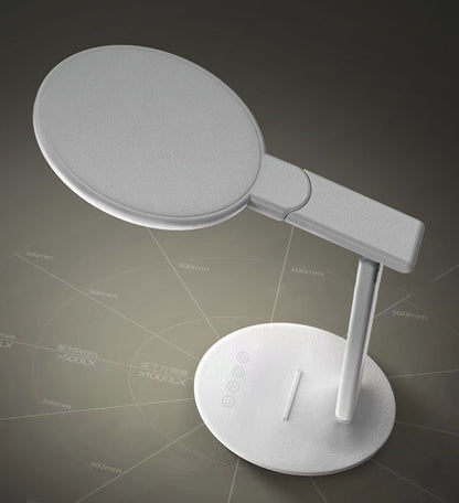 LED Desk Lamp Stepless Dimming Table Lamp for Office Home