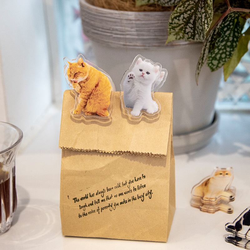 Cute Cat Shaped Acrylic Album Memo Clip Bag Binder Sealing Clip Food Bag Clamp-Two Sides Imprint