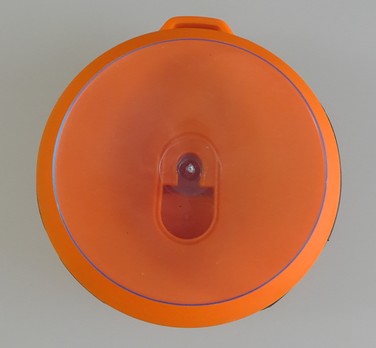 Back View