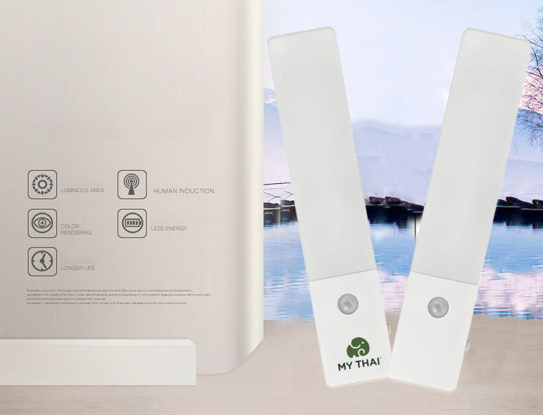 Motion Sensor Rechargeable Lamp