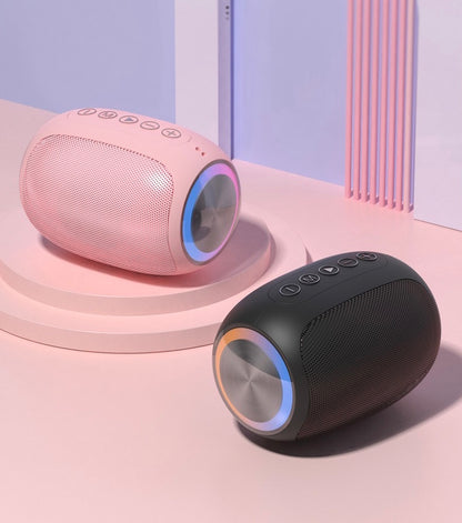Fashion Portable Wireless Speaker