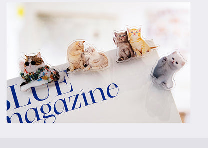 Cute Cat Shaped Acrylic Album Memo Clip Bag Binder Sealing Clip Food Bag Clamp-Two Sides Imprint