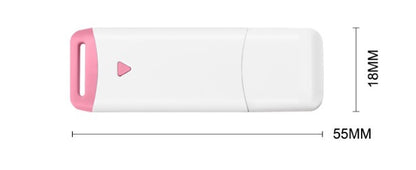 32G USB 2.0 Flash Drive USB Stick