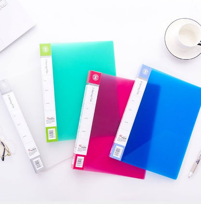 Frosted Ring Binder