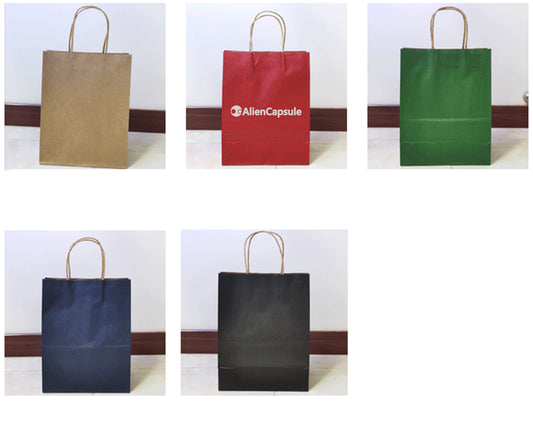 Kraft Paper Gift Bags (9.4L x 6.7D x 11.0H Inches)