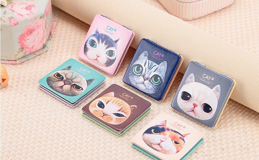 Little Square Mirror