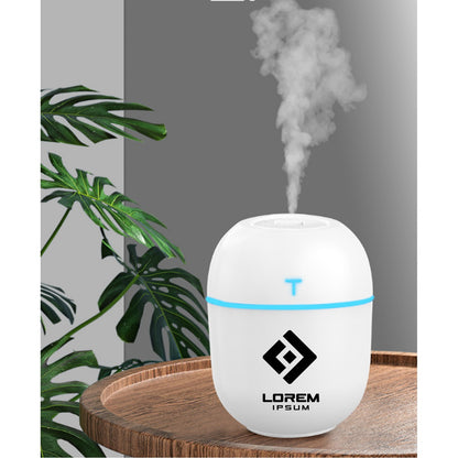 Egg Shaped USB Ultrasonic Air Diffuser