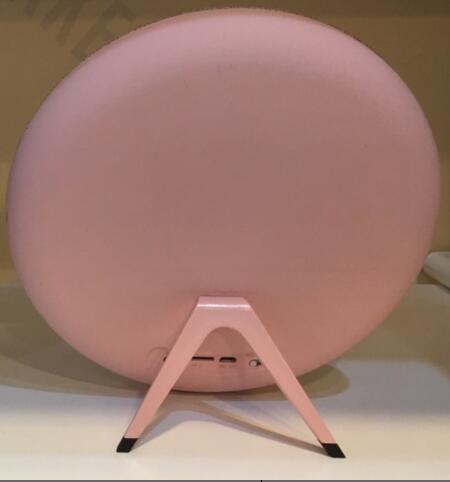 True Stereo Wireless Speaker
