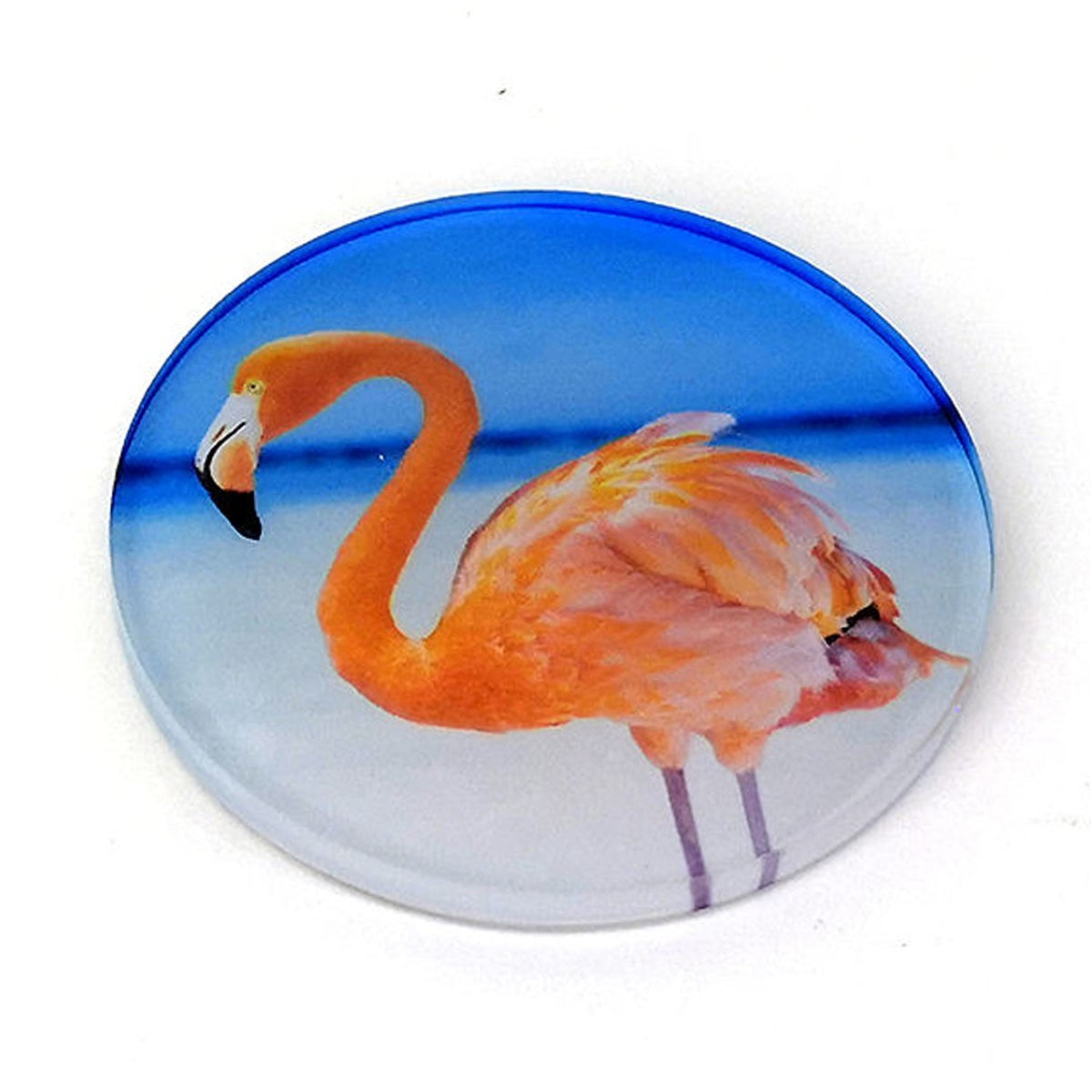 2" Circle Acrylic Magnet Fridge Magnet