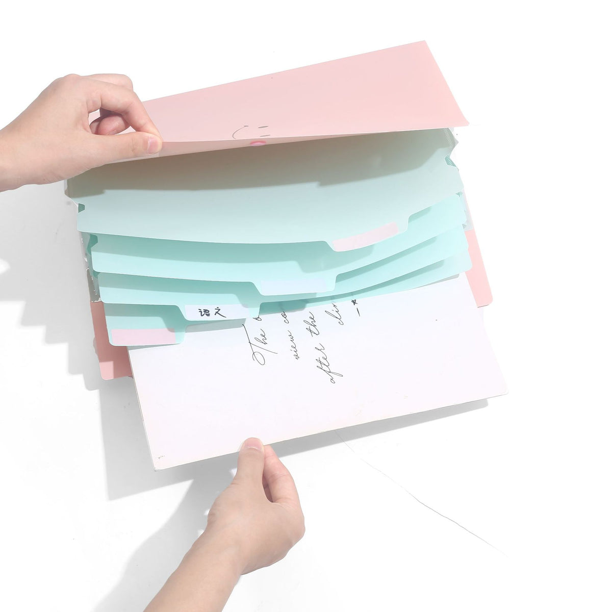Letter A4 Size Expandable Poly File Folder with Snap Closures and Multi Pockets