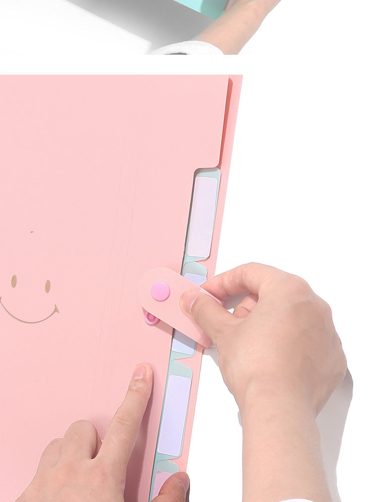 Letter A4 Size Expandable Poly File Folder with Snap Closures and Multi Pockets