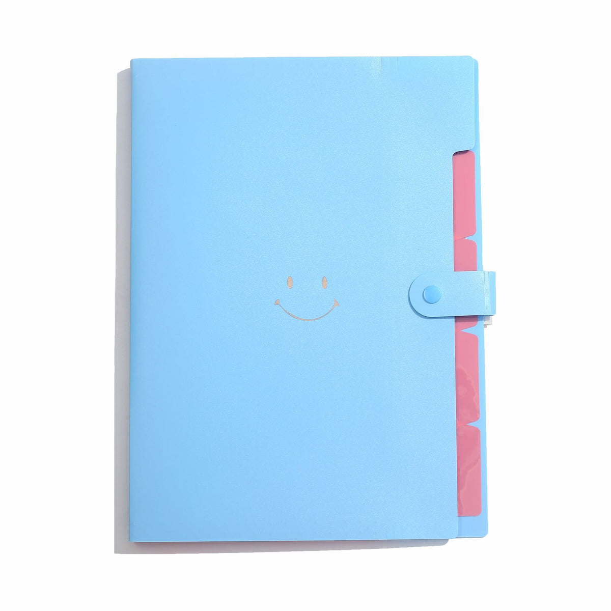 Letter A4 Size Expandable Poly File Folder with Snap Closures and Multi Pockets