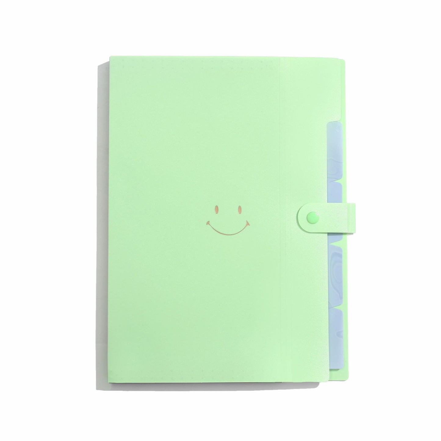 Letter A4 Size Expandable Poly File Folder with Snap Closures and Multi Pockets