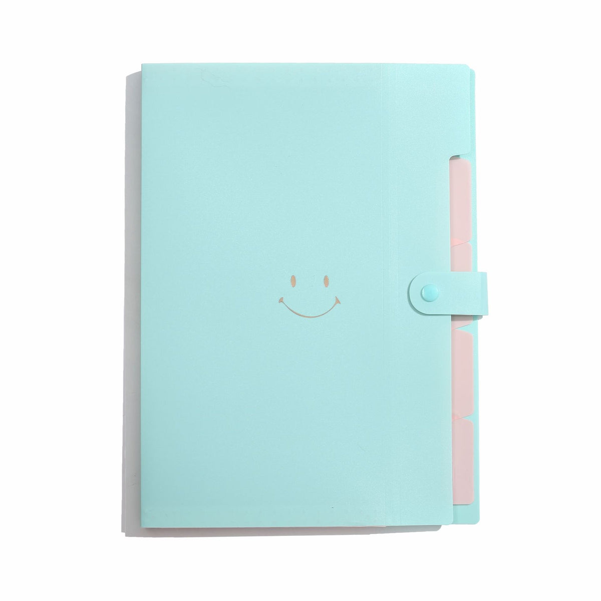 Letter A4 Size Expandable Poly File Folder with Snap Closures and Multi Pockets