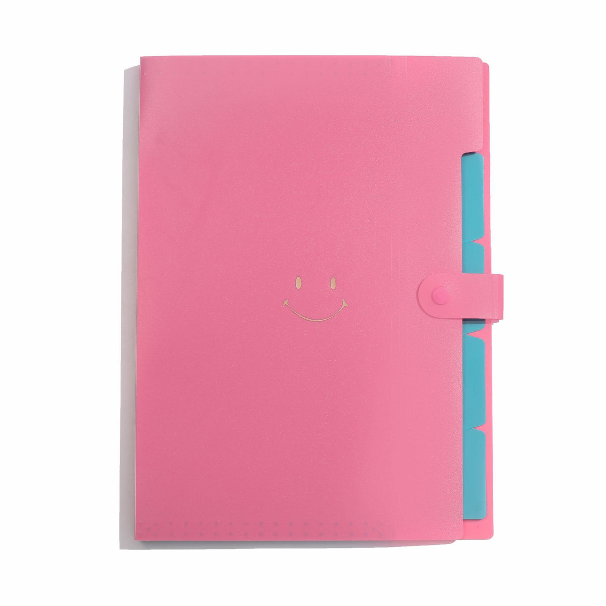 Letter A4 Size Expandable Poly File Folder with Snap Closures and Multi Pockets