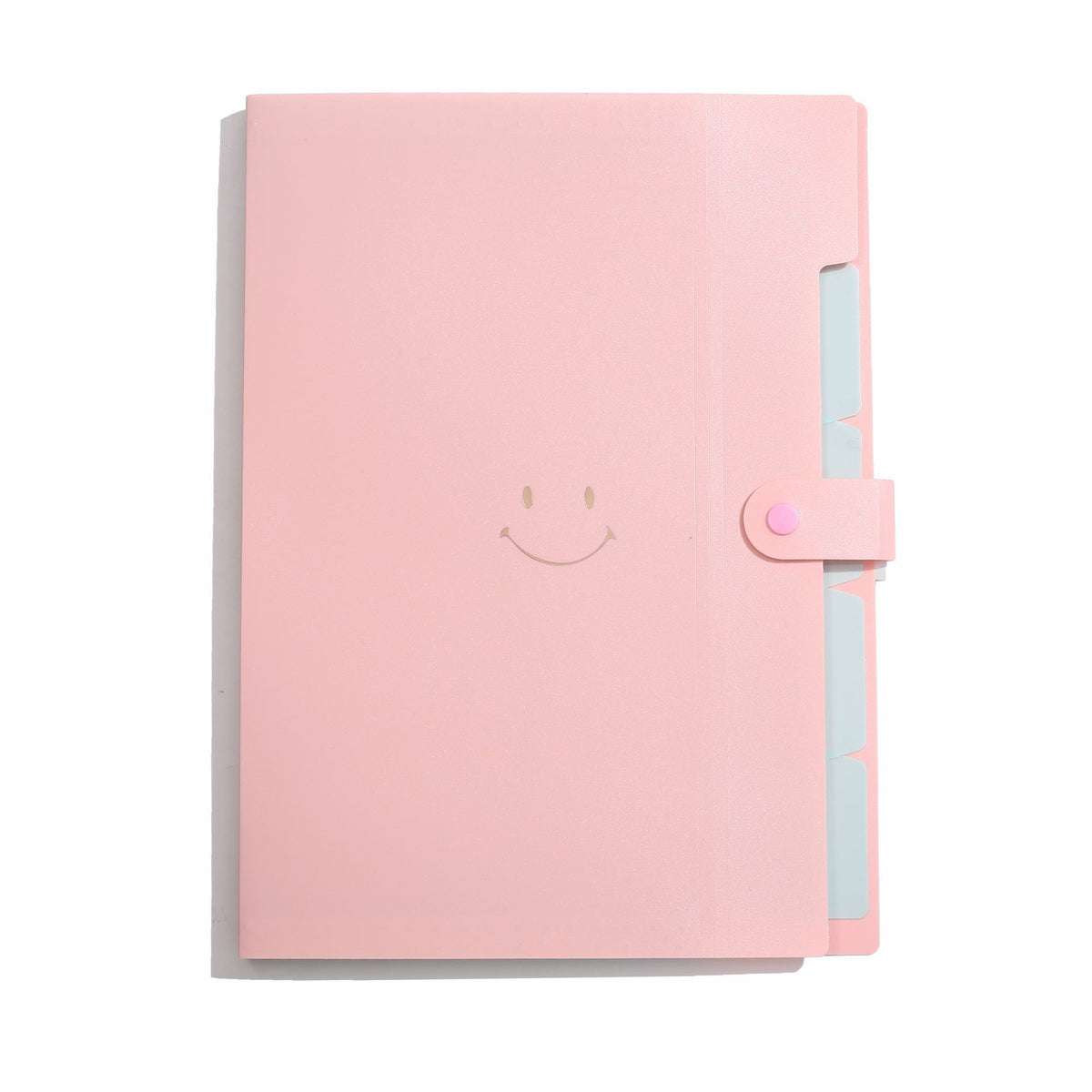 Letter A4 Size Expandable Poly File Folder with Snap Closures and Multi Pockets
