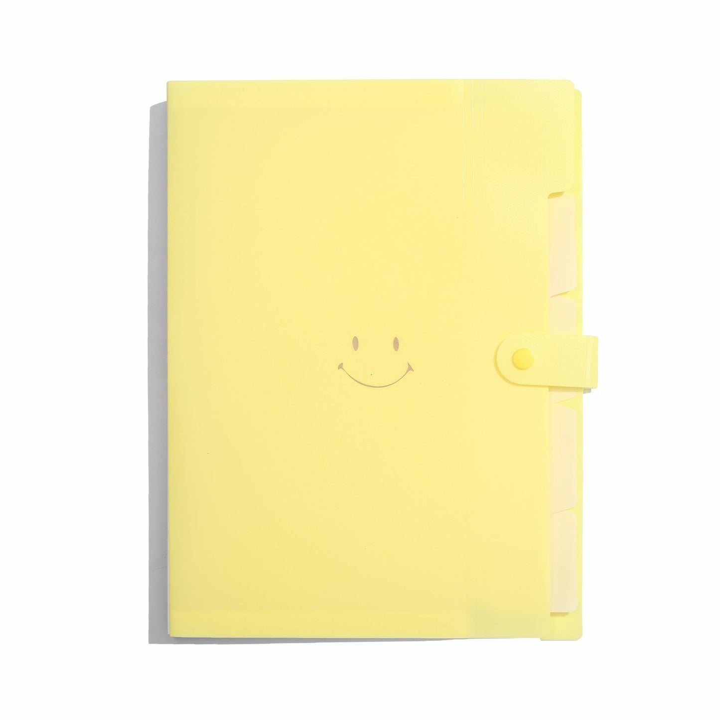 Letter A4 Size Expandable Poly File Folder with Snap Closures and Multi Pockets