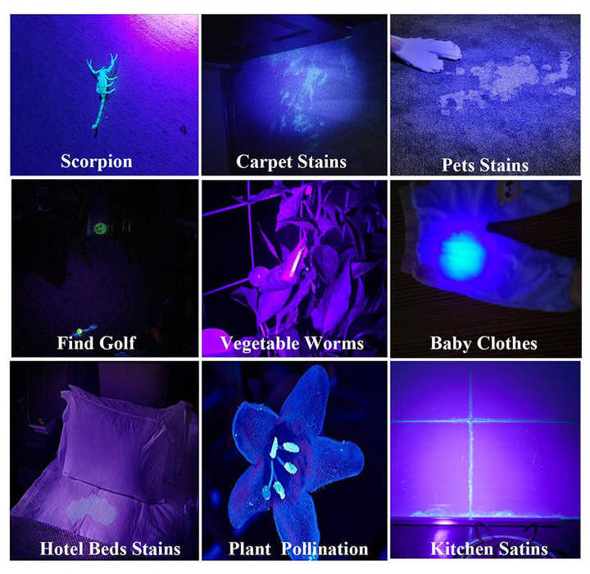 9 LED Mini Black Light UV Flashlight