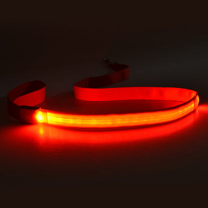 47" LED Light Up Dog Leash